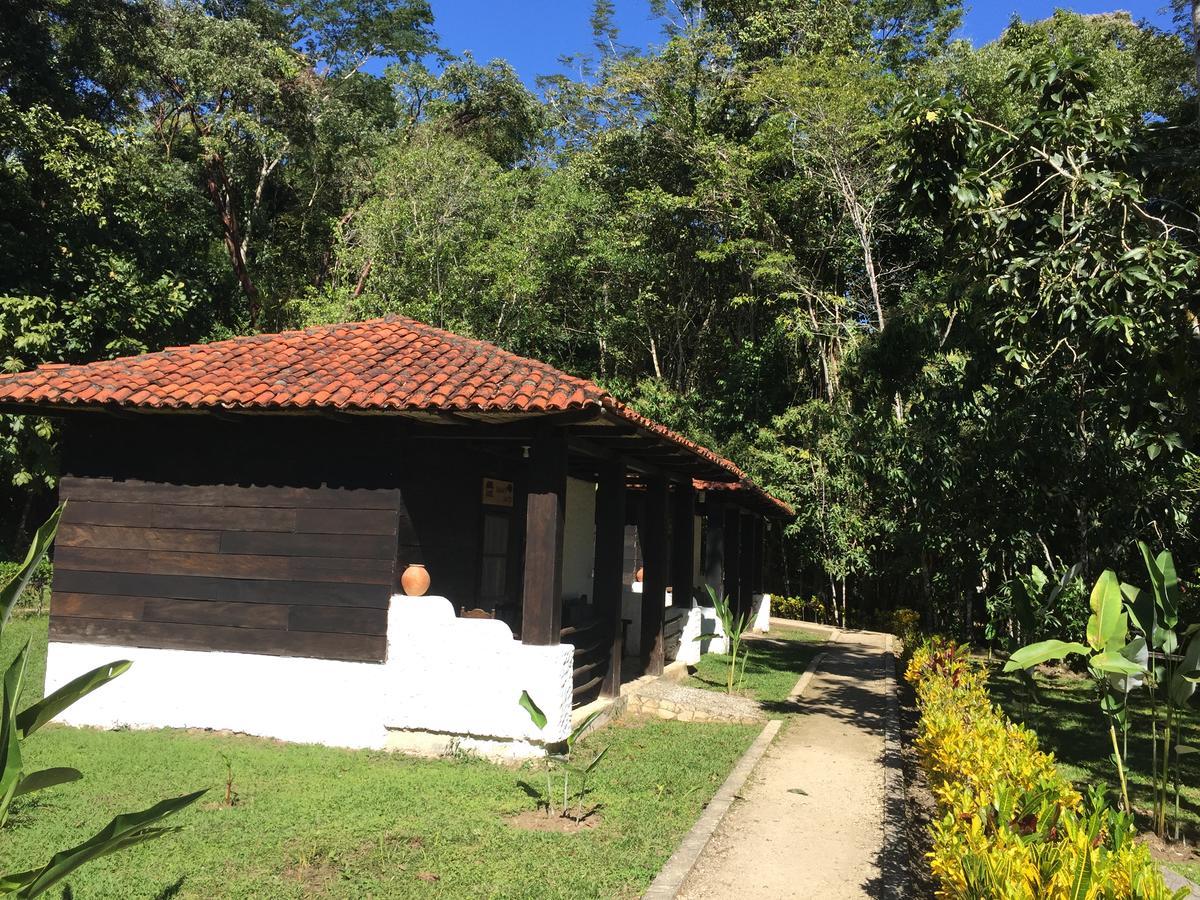 Ecolodge Las Nubes Chiapas La Fortuna Gallo Giro Exterior foto