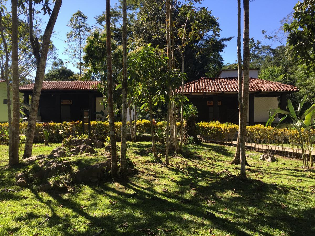 Ecolodge Las Nubes Chiapas La Fortuna Gallo Giro Exterior foto