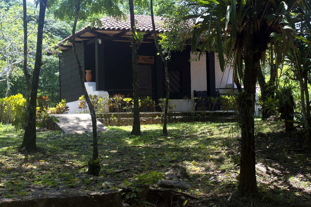 Ecolodge Las Nubes Chiapas La Fortuna Gallo Giro Exterior foto