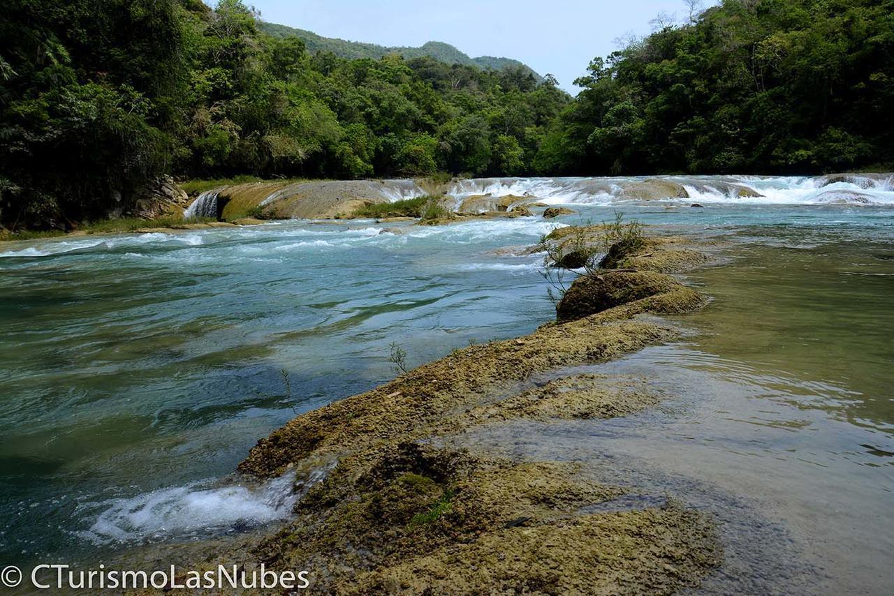 Ecolodge Las Nubes Chiapas La Fortuna Gallo Giro Exterior foto
