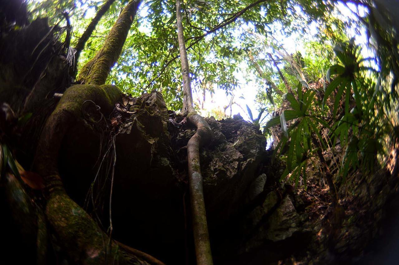 Ecolodge Las Nubes Chiapas La Fortuna Gallo Giro Exterior foto