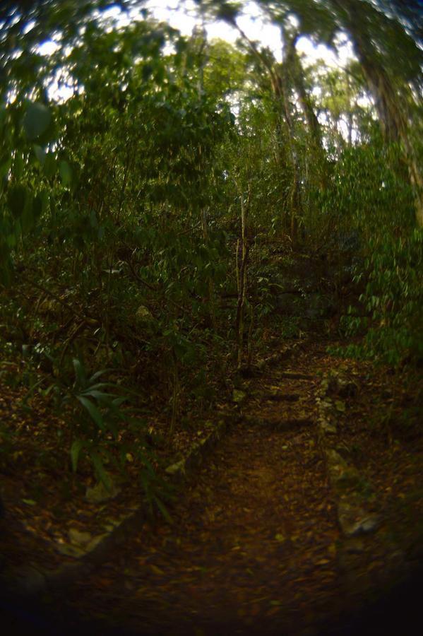 Ecolodge Las Nubes Chiapas La Fortuna Gallo Giro Exterior foto
