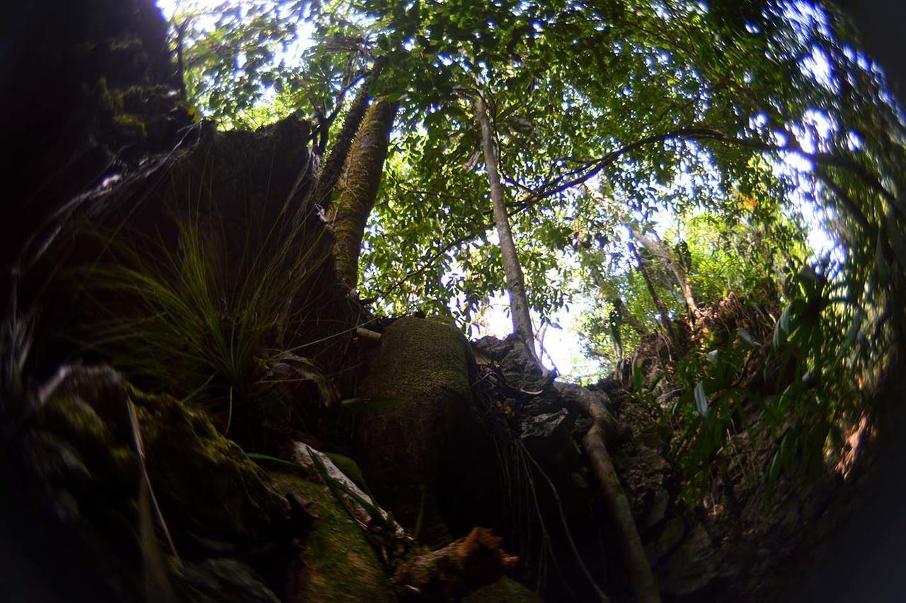 Ecolodge Las Nubes Chiapas La Fortuna Gallo Giro Exterior foto