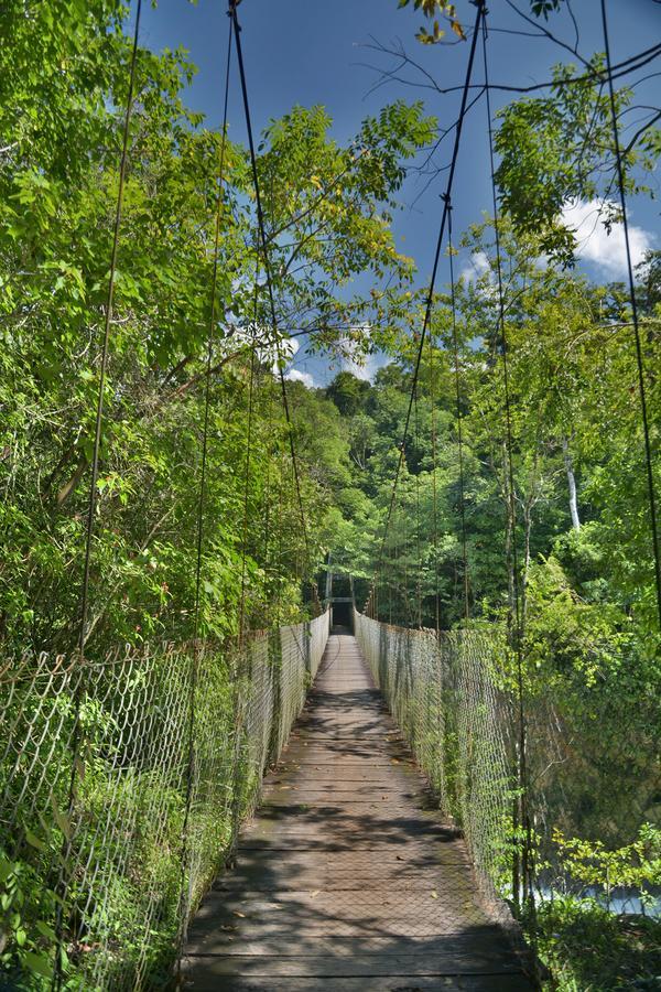 Ecolodge Las Nubes Chiapas La Fortuna Gallo Giro Exterior foto